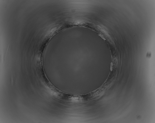 X0000094440415200711211500