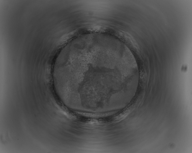 X0000094440416200711211500