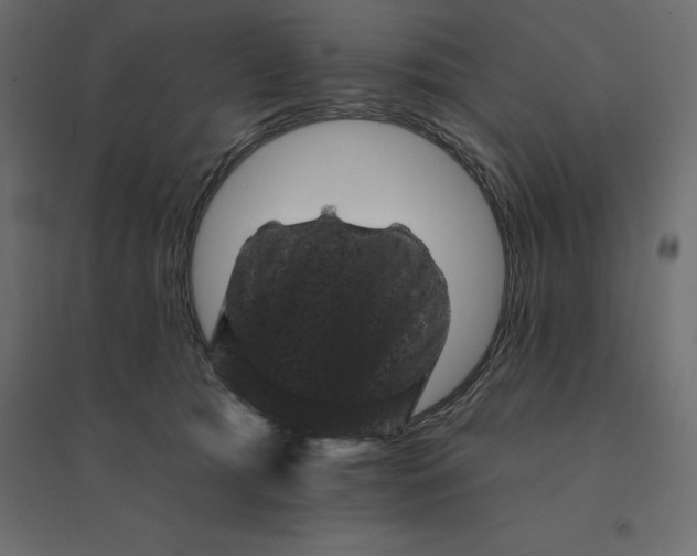 X0000094440417200711211500