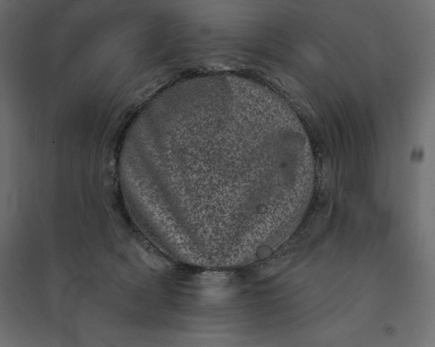 X0000094440418200711211500