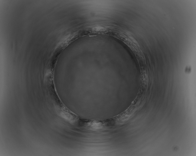 X0000094440419200711211500