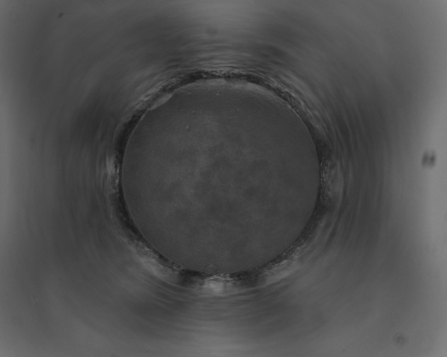 X0000094440420200711211500