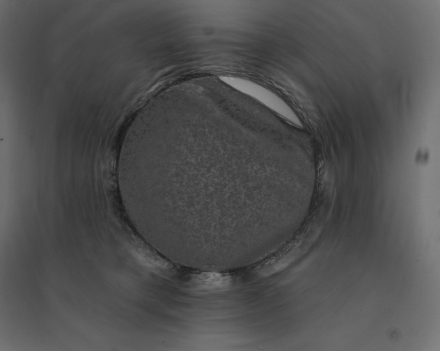 X0000094440421200711211500