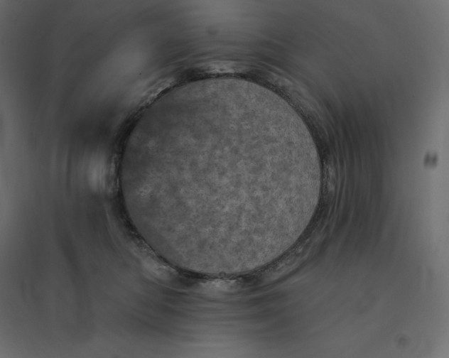 X0000094440422200711211500