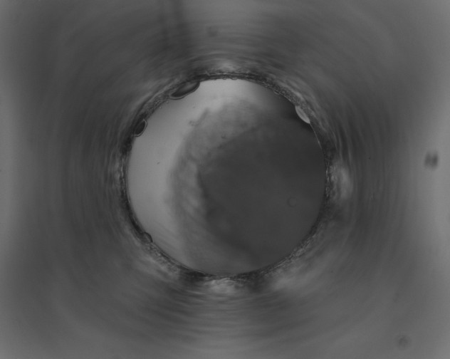 X0000094440423200711211500