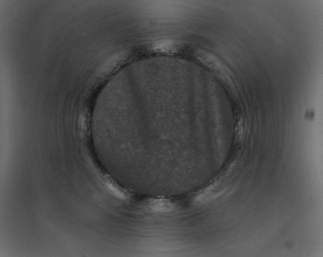 X0000094440424200711211500