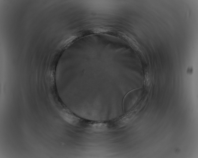 X0000094440426200711211500