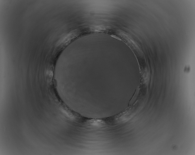 X0000094440427200711211500