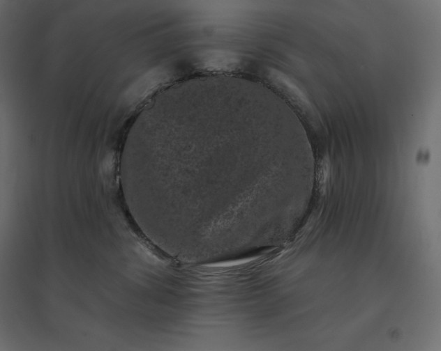 X0000094440428200711211500