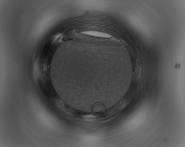 X0000094440430200711211500