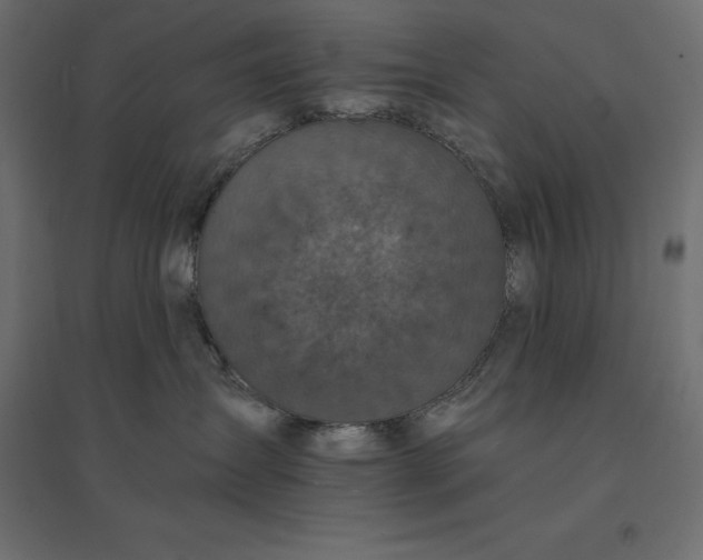 X0000094440431200711211500