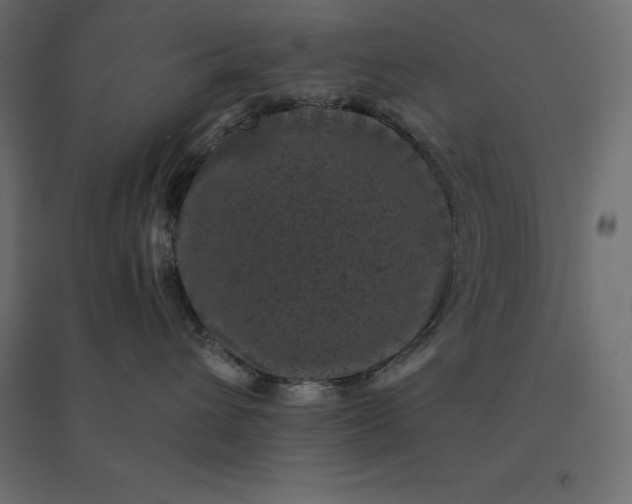 X0000094440432200711211500