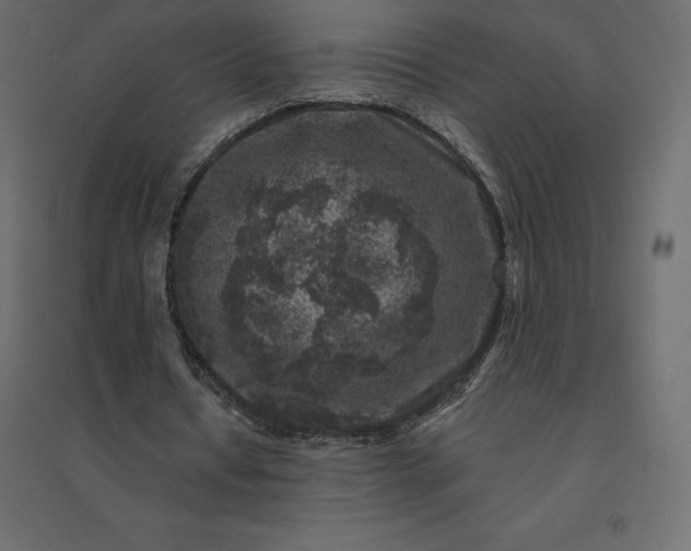 X0000094440434200711211459