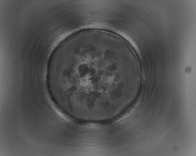 X0000094440437200711211459