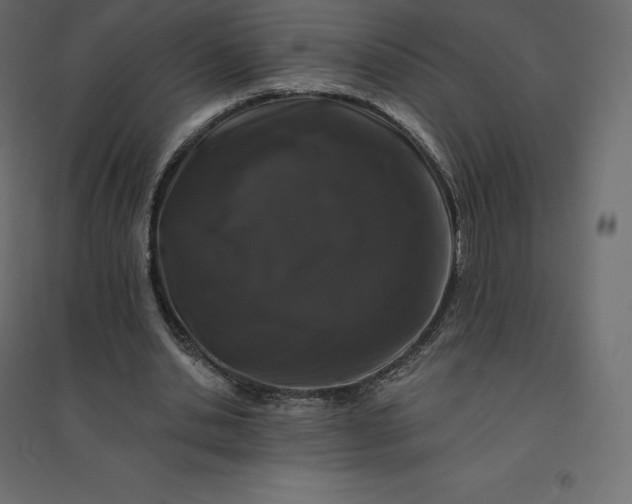 X0000094440438200711211459