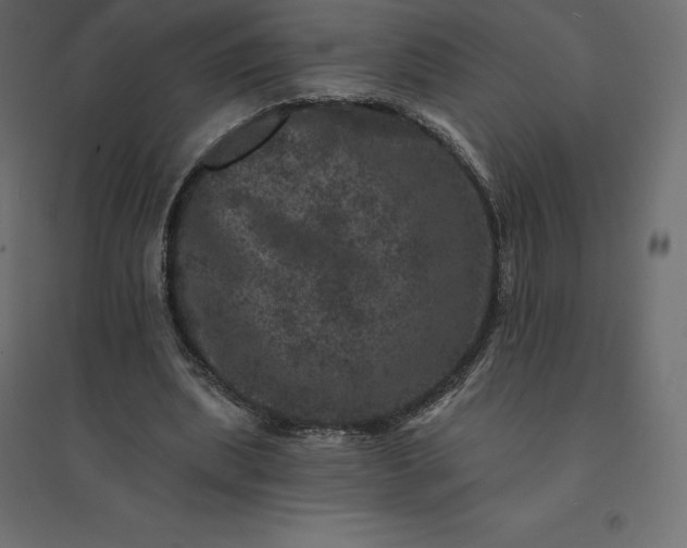 X0000094440439200711211459