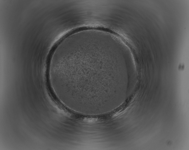 X0000094440440200711211459