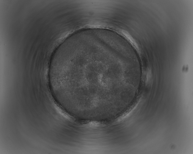 X0000094440441200711211459