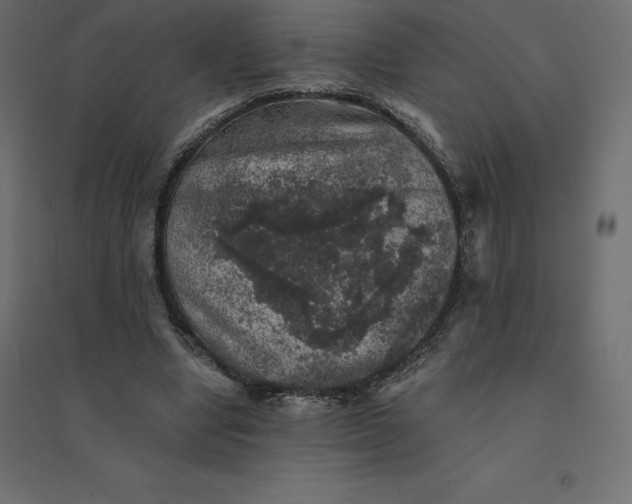 X0000094440442200711211459