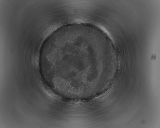 X0000094440443200711211459