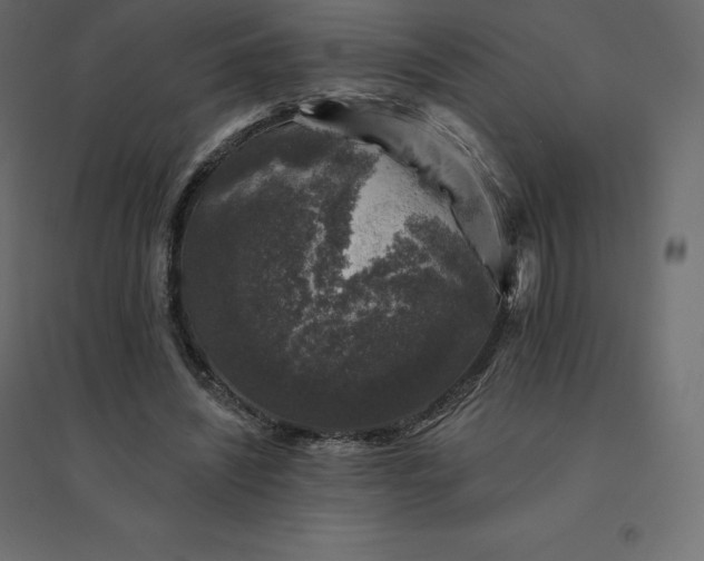 X0000094440444200711211459