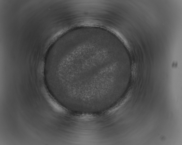 X0000094440445200711211459