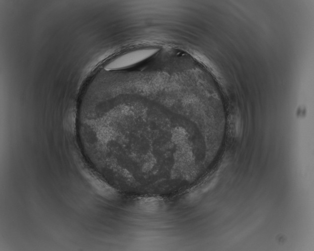 X0000094440446200711211459