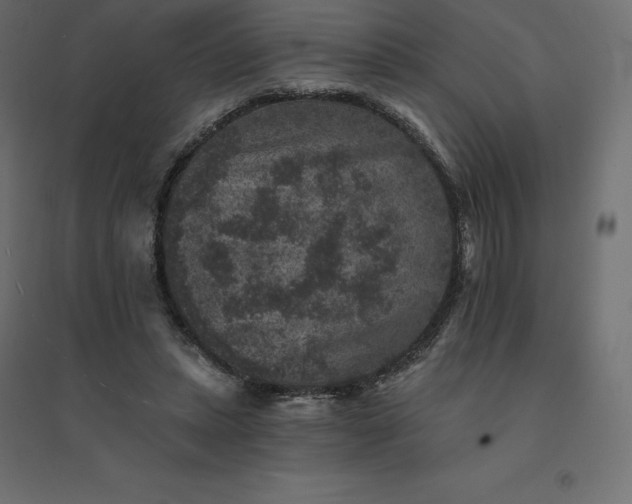 X0000094440447200711211459