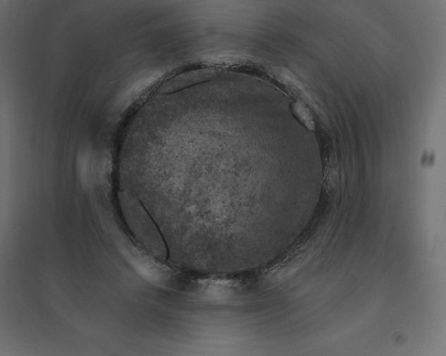 X0000094440448200711211459