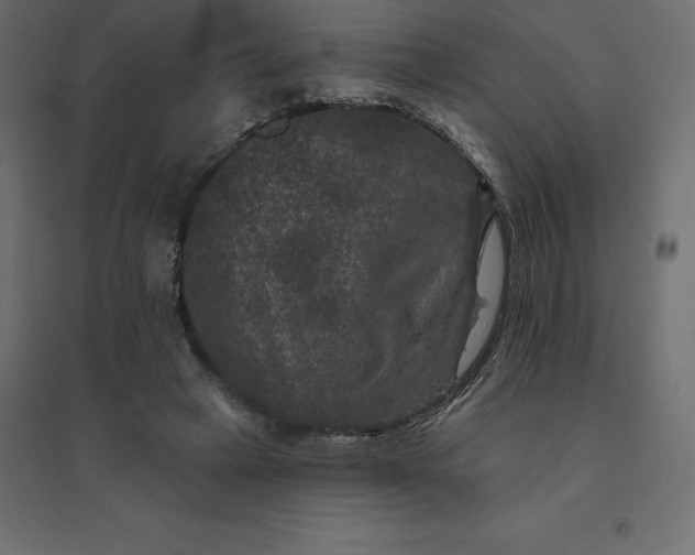 X0000094440449200711211459