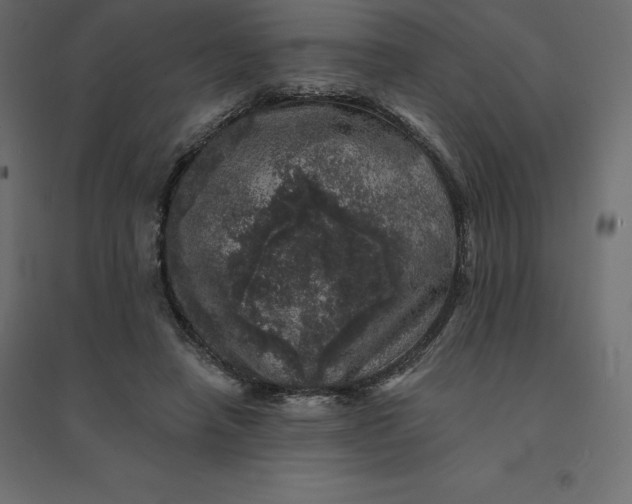 X0000094440450200711211459