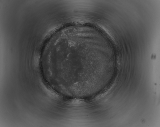 X0000094440451200711211459