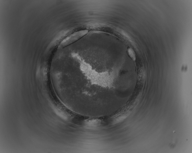 X0000094440452200711211500