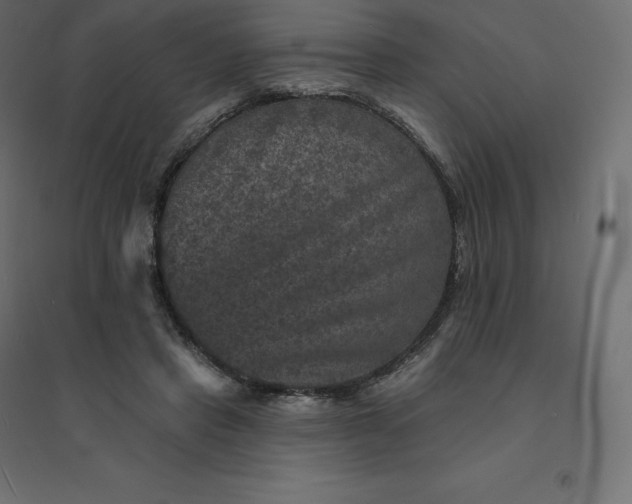 X0000094440453200711211500