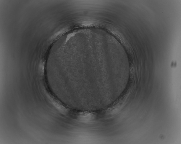 X0000094440454200711211500