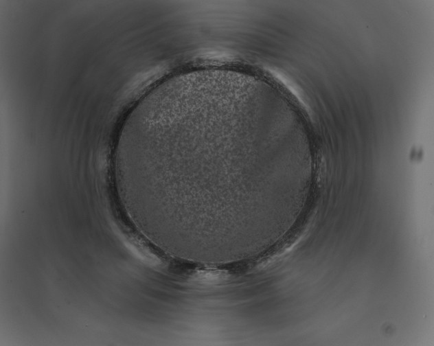 X0000094440455200711211500