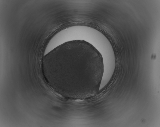 X0000094440456200711211500