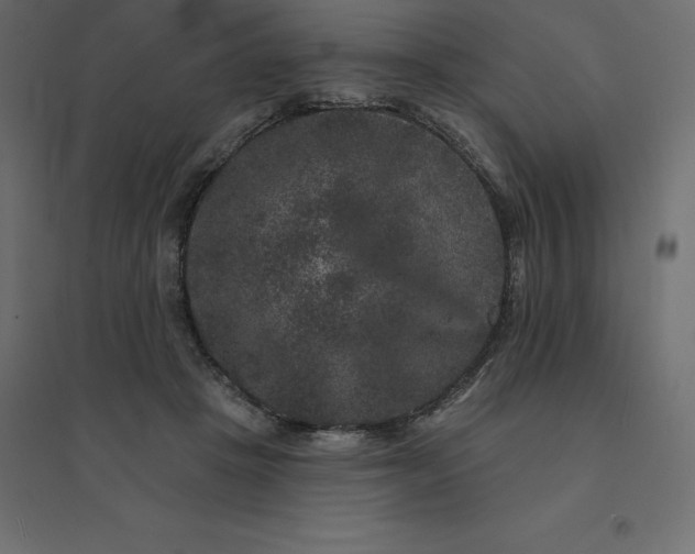 X0000094440457200711211500