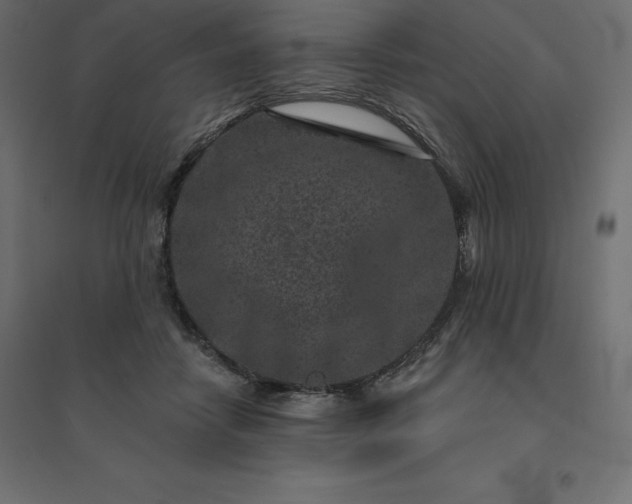 X0000094440458200711211500