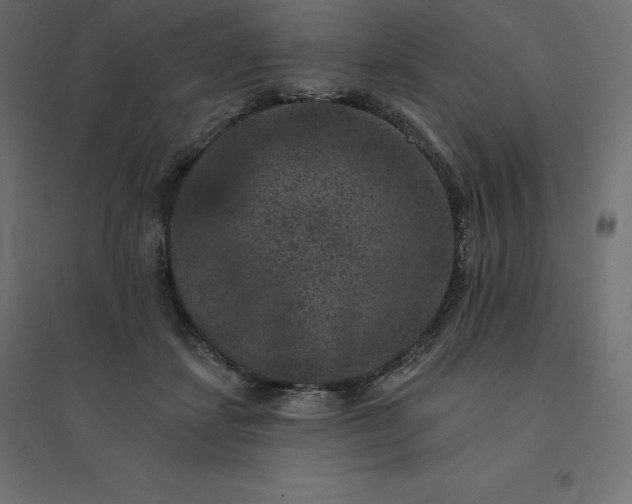 X0000094440459200711211500