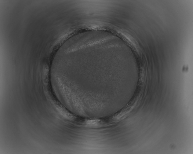 X0000094440461200711211500