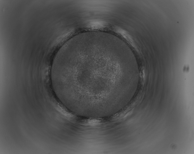 X0000094440462200711211500