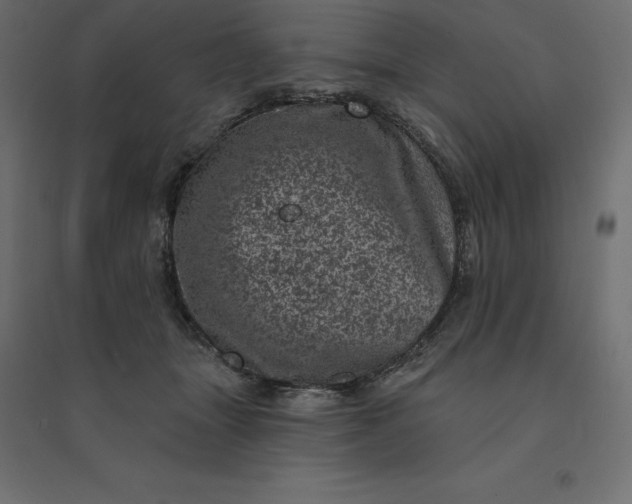 X0000094440463200711211500