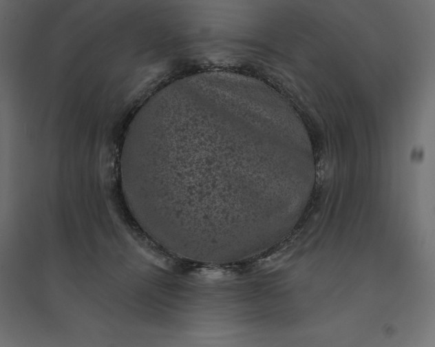 X0000094440464200711211500