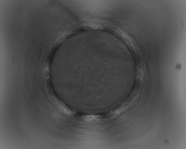 X0000094440465200711211500