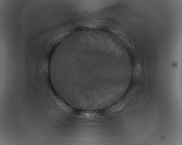 X0000094440466200711211500