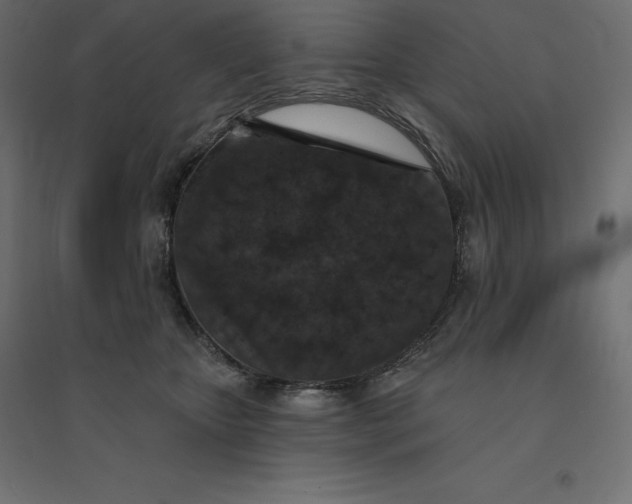 X0000094440467200711211500