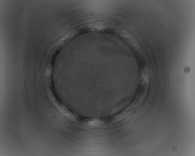 X0000094440468200711211500