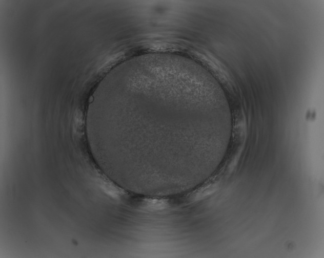 X0000094440469200711211500