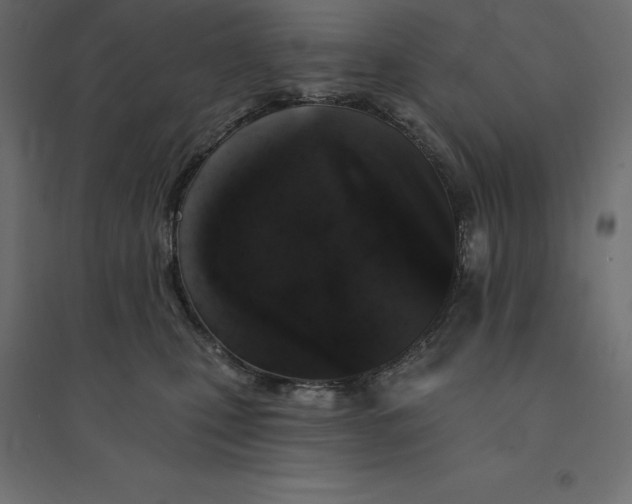 X0000094440471200711211500